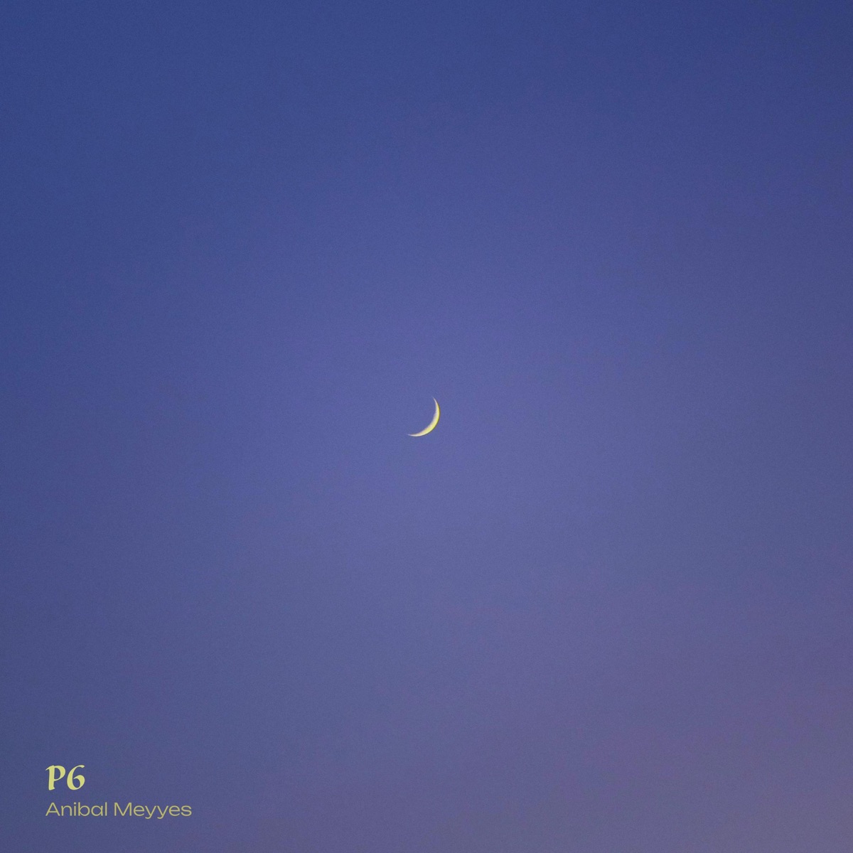 P6 - Single by Anibal Meyyes album cover