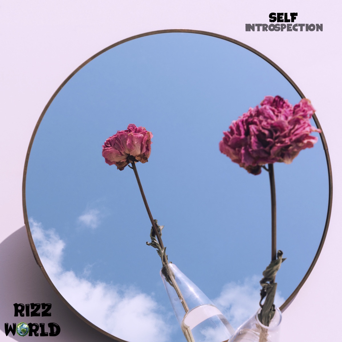 Self Introspection - Single by Rizz World album cover