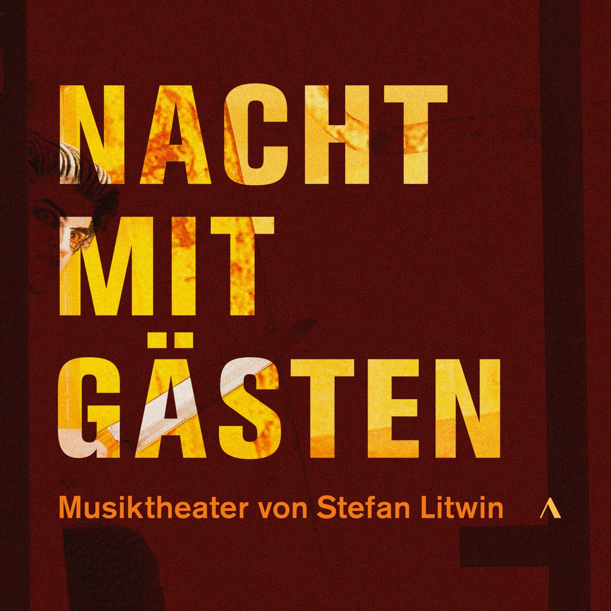 Stefan Litwin: Nacht mit Gästen by Various Artists album cover