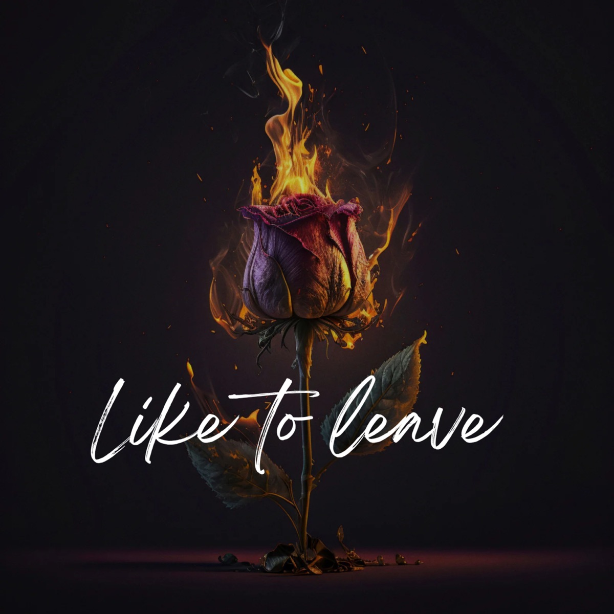 Like To Leave - Single by Akash Maggo, saifi chouhan & Mugz Beats album cover