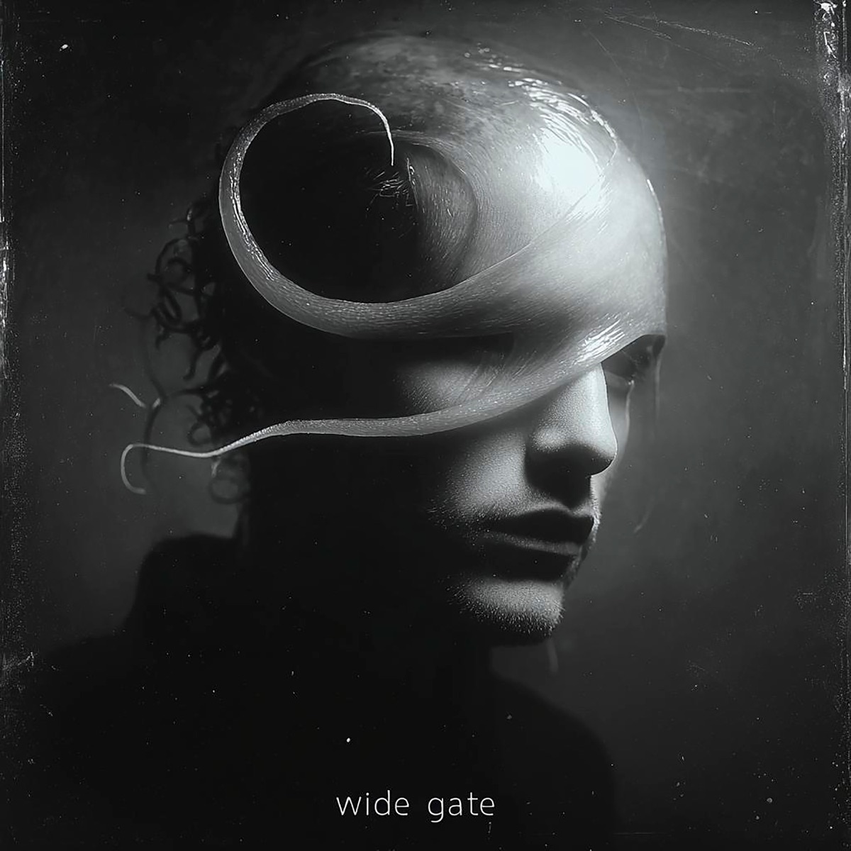 Wide Gate (feat. AVE TRIO) - Single by Sergio Galoyan album cover