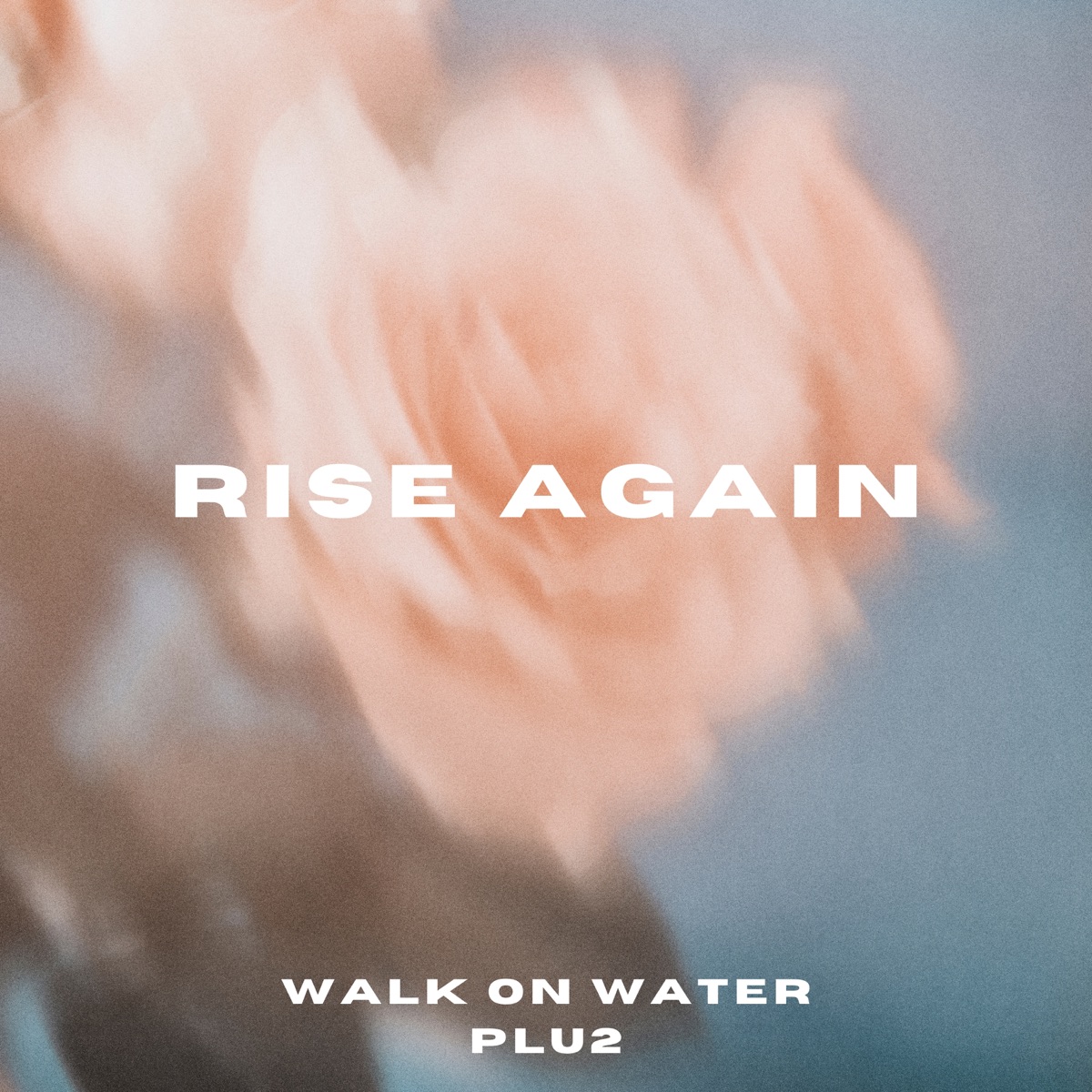 Rise Again - Single by Walk on Water & Plu2 album cover