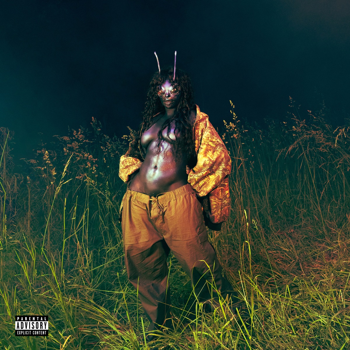 SOS Deluxe: LANA by SZA album cover artwork