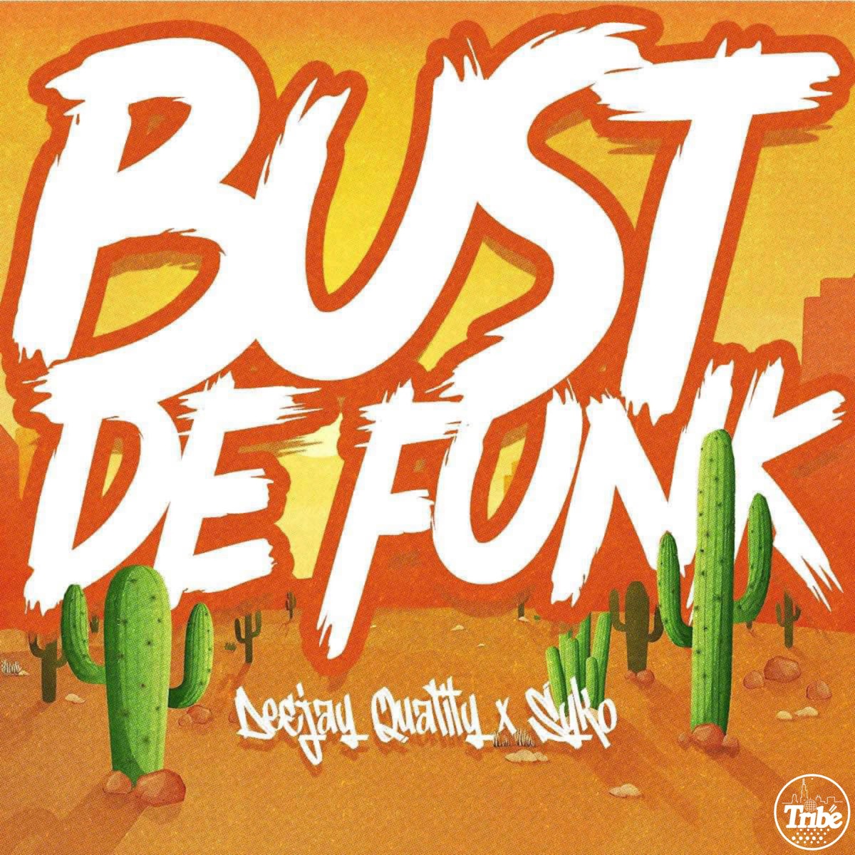 Bust De Funk - Single by Syko Chicago & DeejayQuality album cover