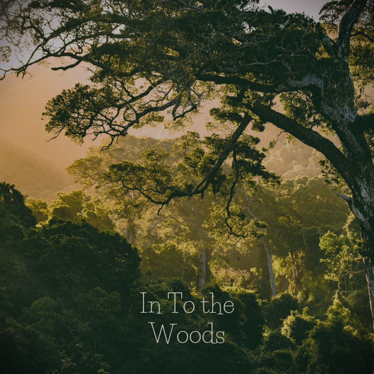 In to the Woods - Single by Saritha Edirisinghe album cover