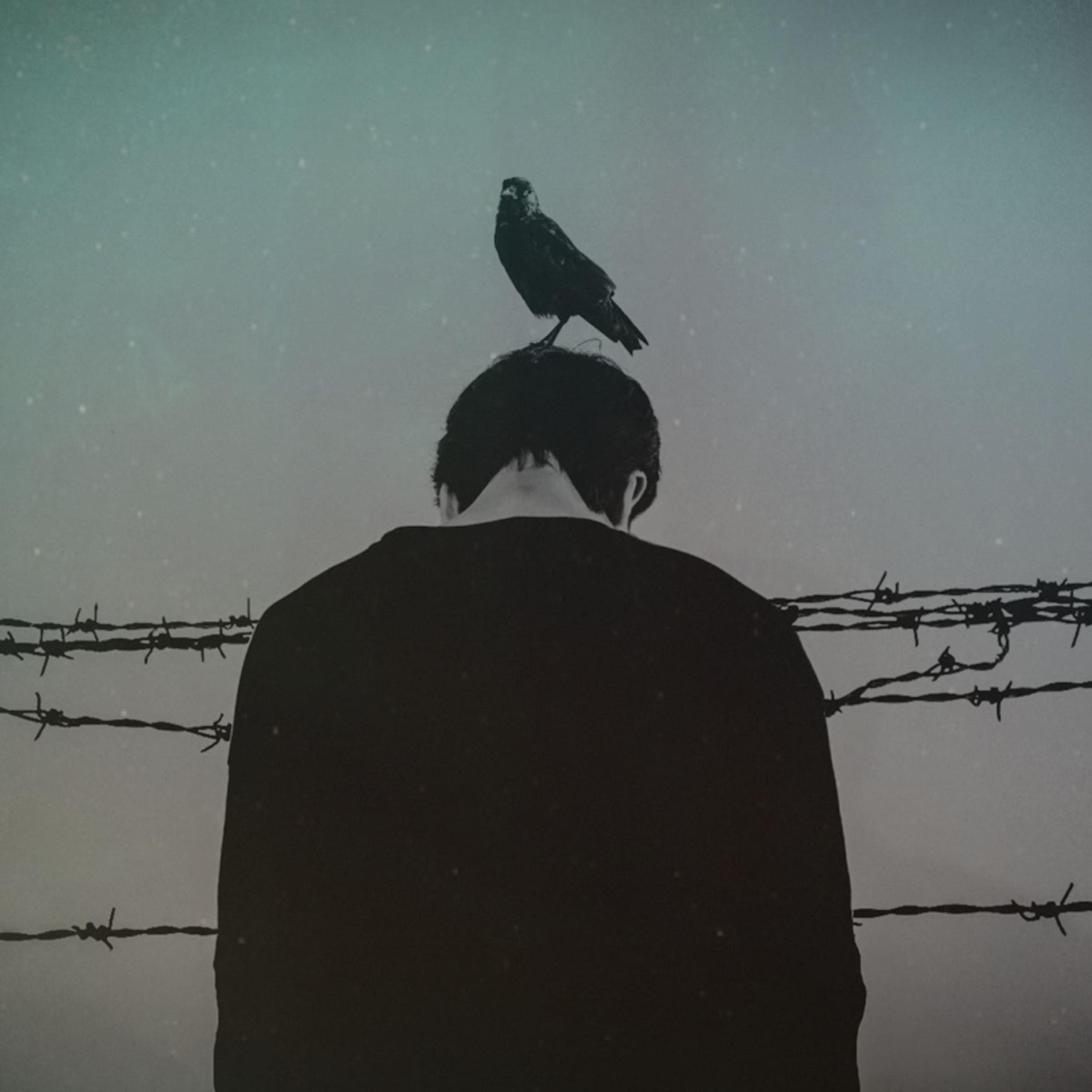 Freedom - Single by BCor & Jake Buzzard album cover