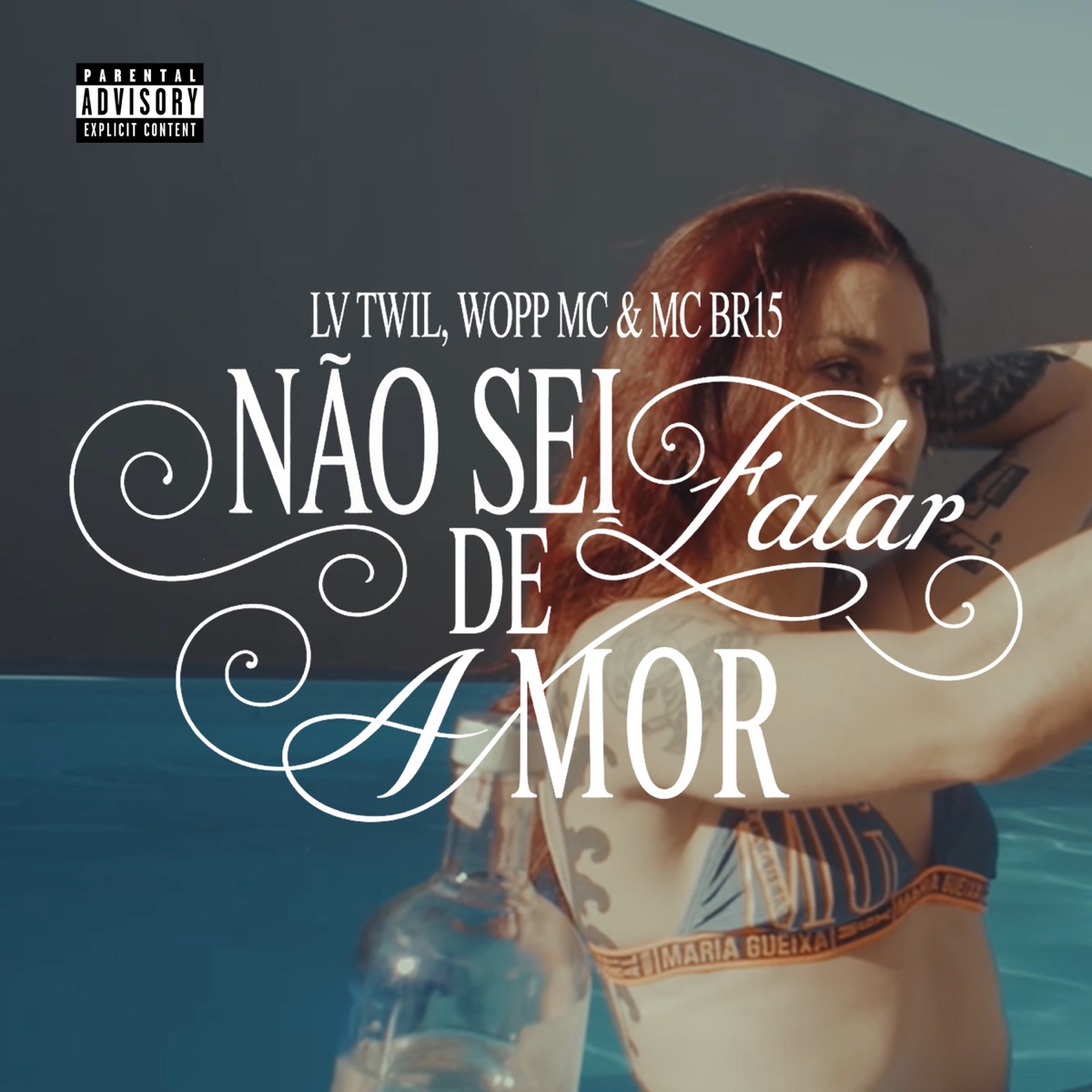 Não Sei Falar De Amor (feat. Wopp MC & Mc BR15) - Single by LV Twil album cover