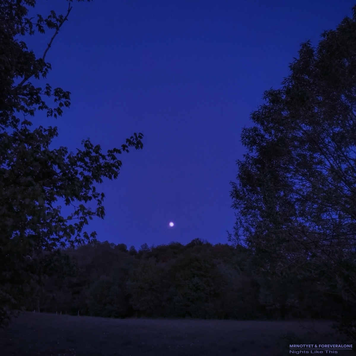 nights like this - Single by foreveralone & MrNotYet album cover
