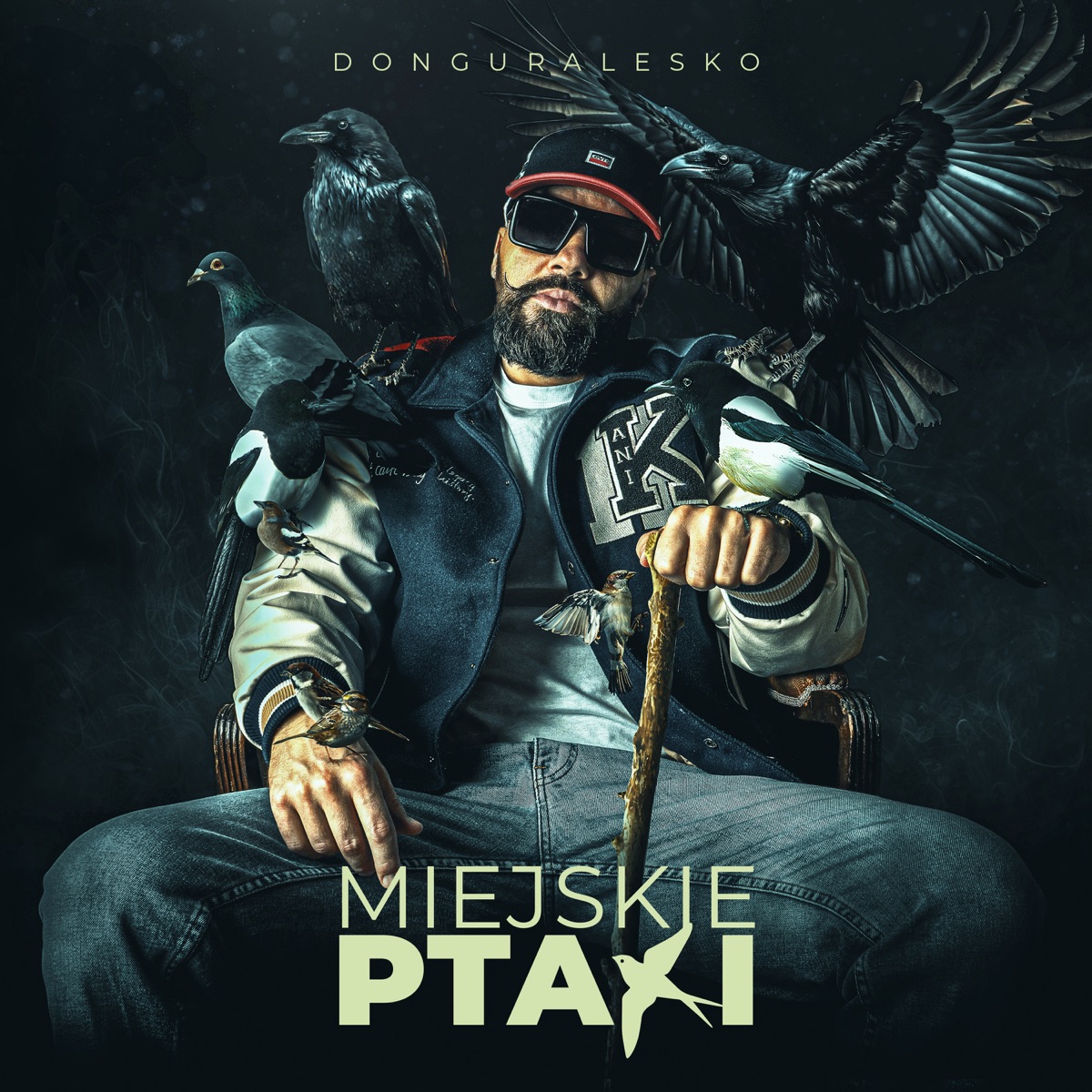 Miejskie Ptaki by Donguralesko album cover
