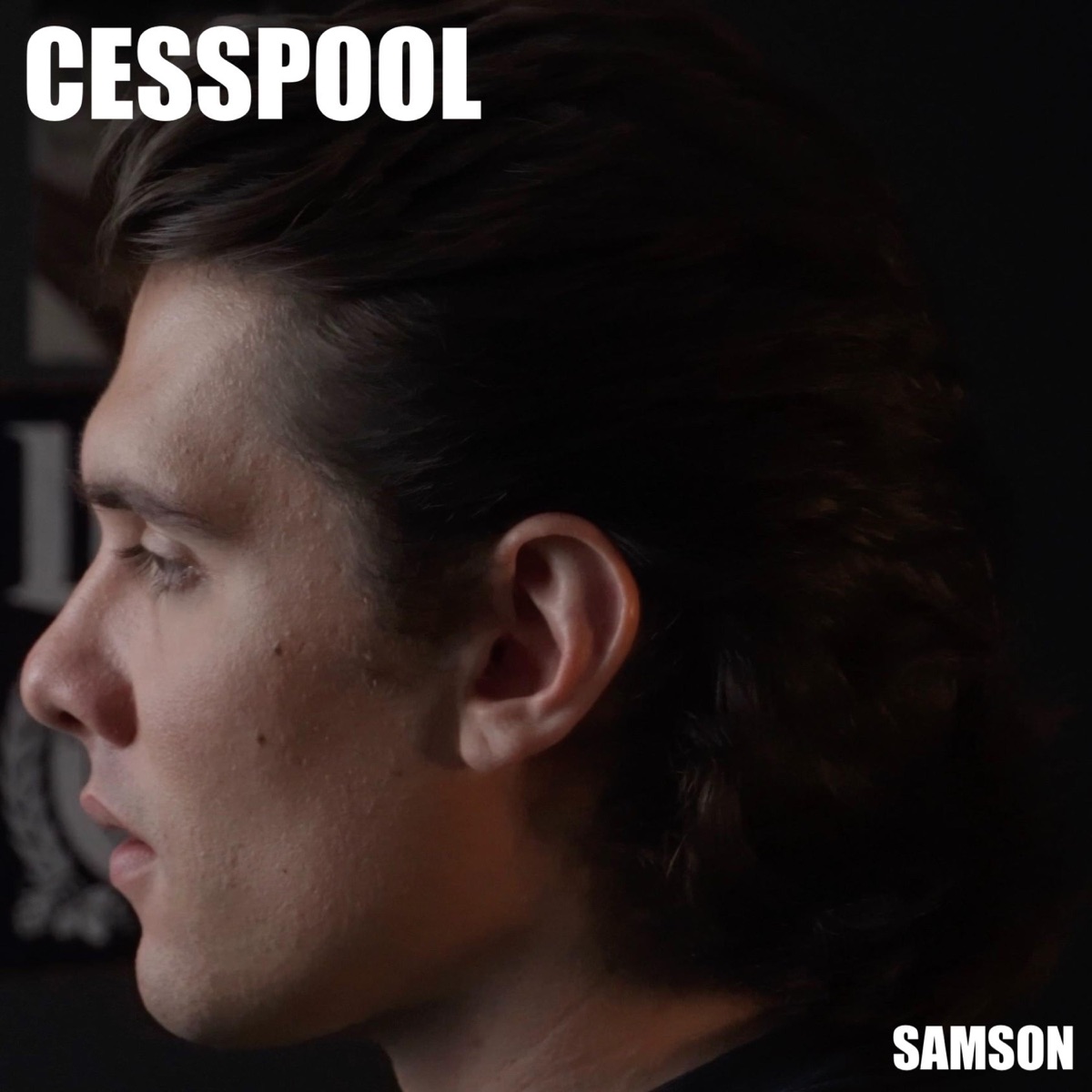 Cesspool - Single by The Real Samson album cover