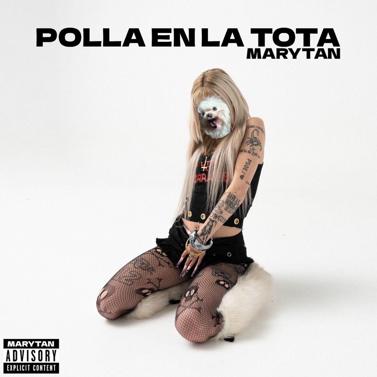 POLLA EN LA TOTA - Single by Marytan album cover