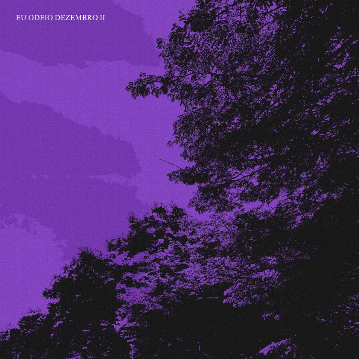 Eu Odeio Dezembro II (feat. TheJoia & Yung Loof) - Single by Flower album cover