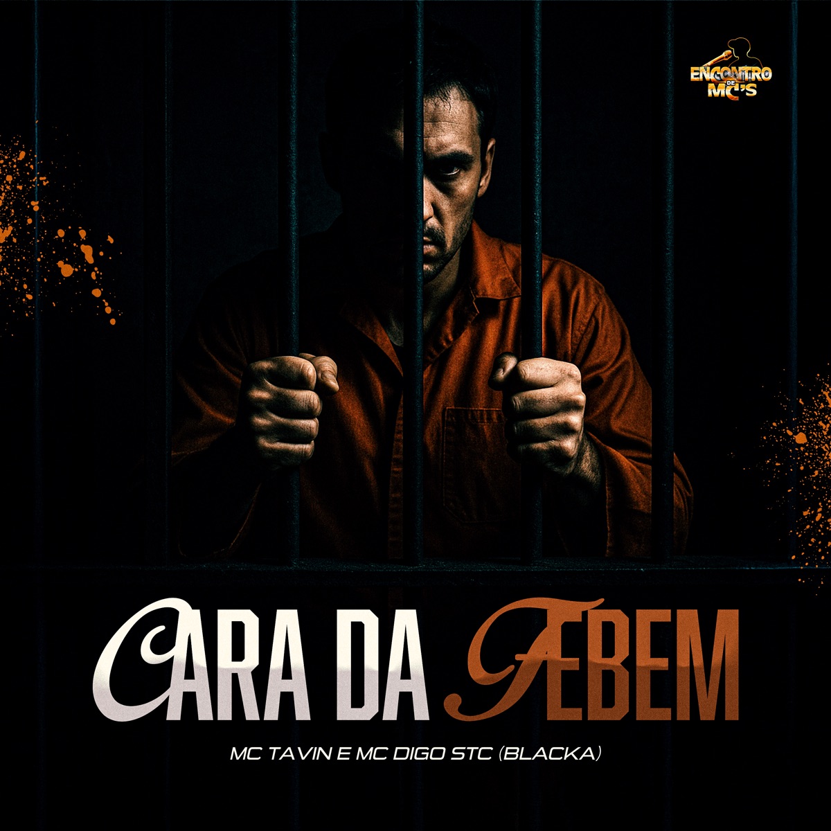 Cara da Febem - Single by MC TAVIN, Mc Digo STC & Blacka album cover
