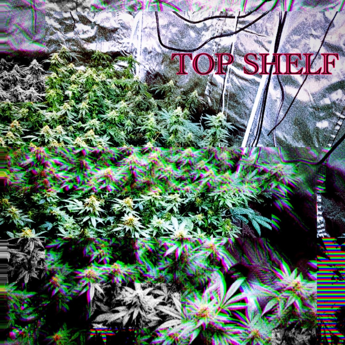 Top Shelf - Single by Lil Sinik album cover