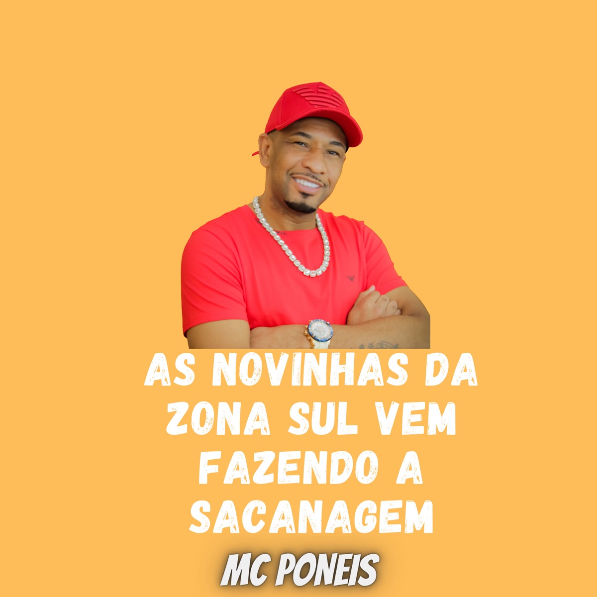 As Novinhas da Zona Sul Vem Fazendo a Sacanagem - Single by MC PONEIS, PORTUGA DJ & Mc Waguinho Caxangá album cover