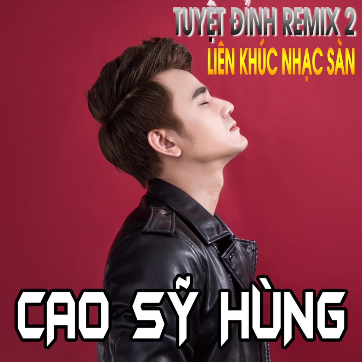 Tuyệt Đỉnh Remix 2: Liên Khúc Nhạc Sàn Cao Sỹ Hùng - EP by Cao Sy Hung album cover