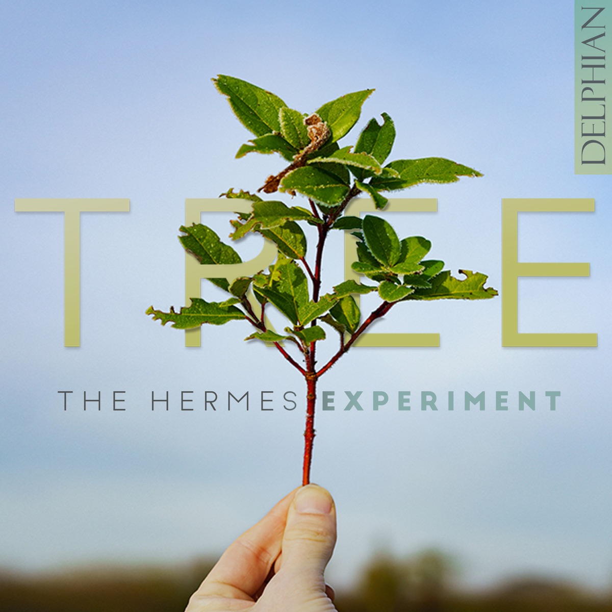 Tree by The Hermes Experiment album cover