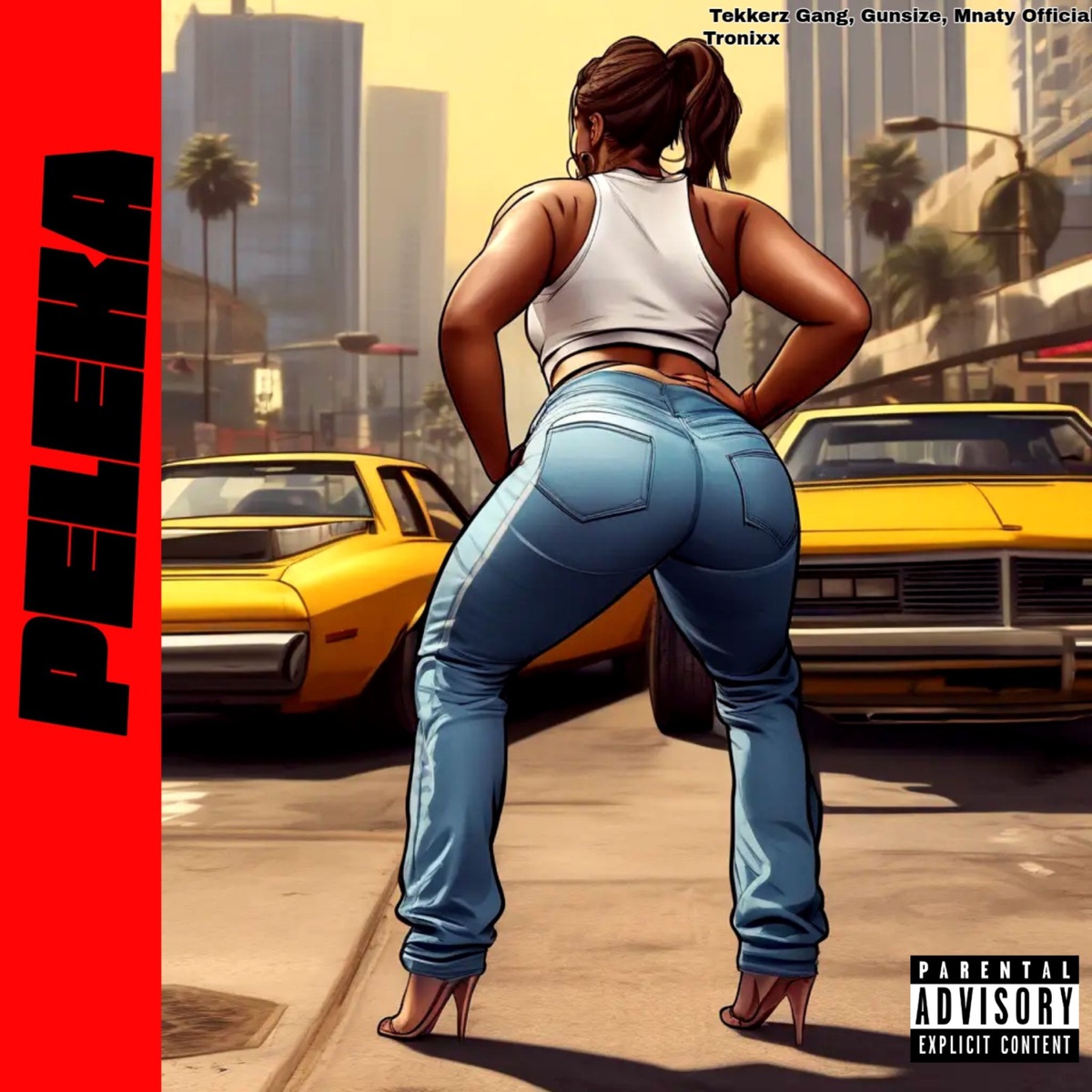 PELEKA - Single by Tekkerz Gang, Gunsize, Mnaty Official & Tronixx album cover