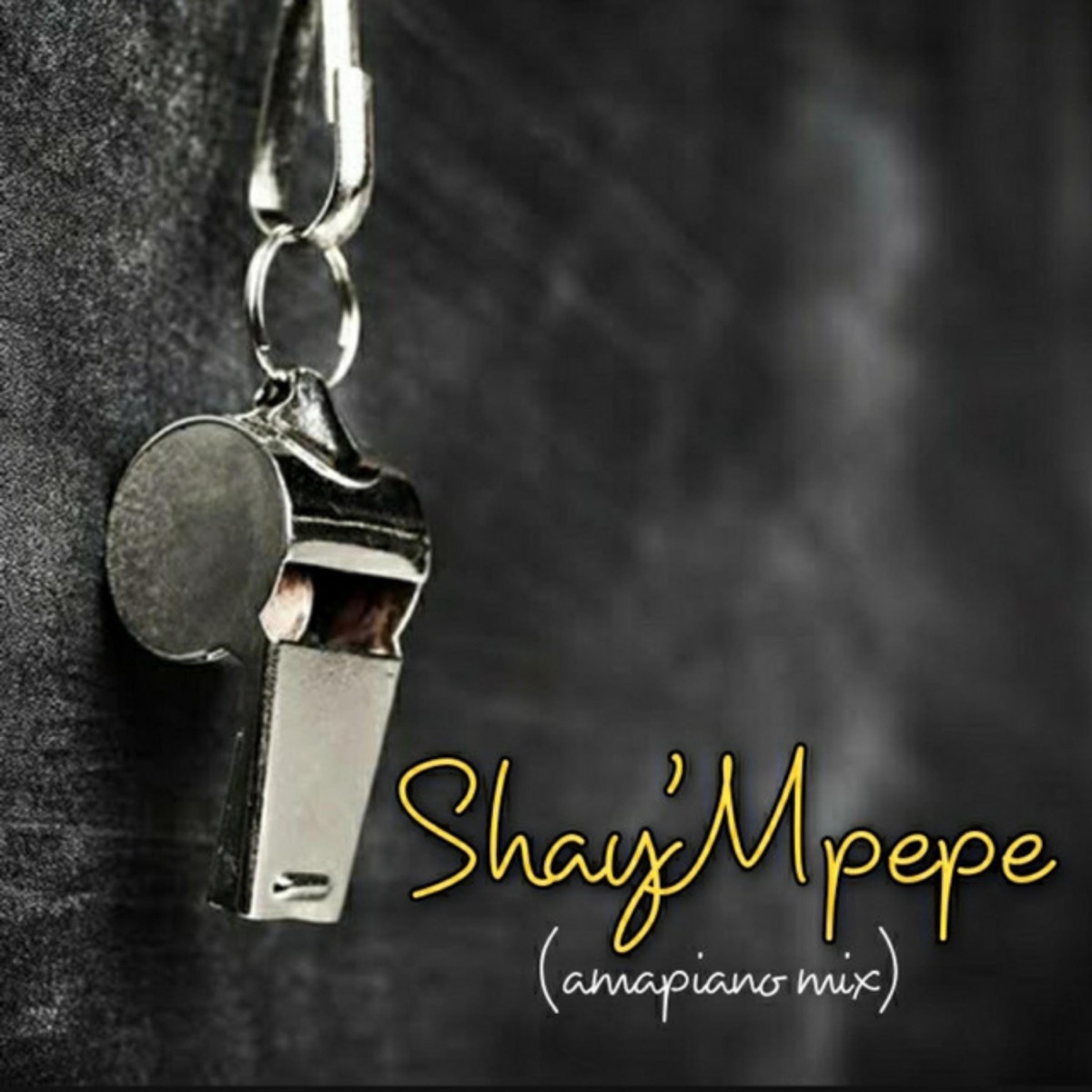 Shay'mpempe (feat. Dj Mavuthela, Ribby De Deejay & Rhino) [Amapiano Mix] - Single by Muzzy D Pilot album cover
