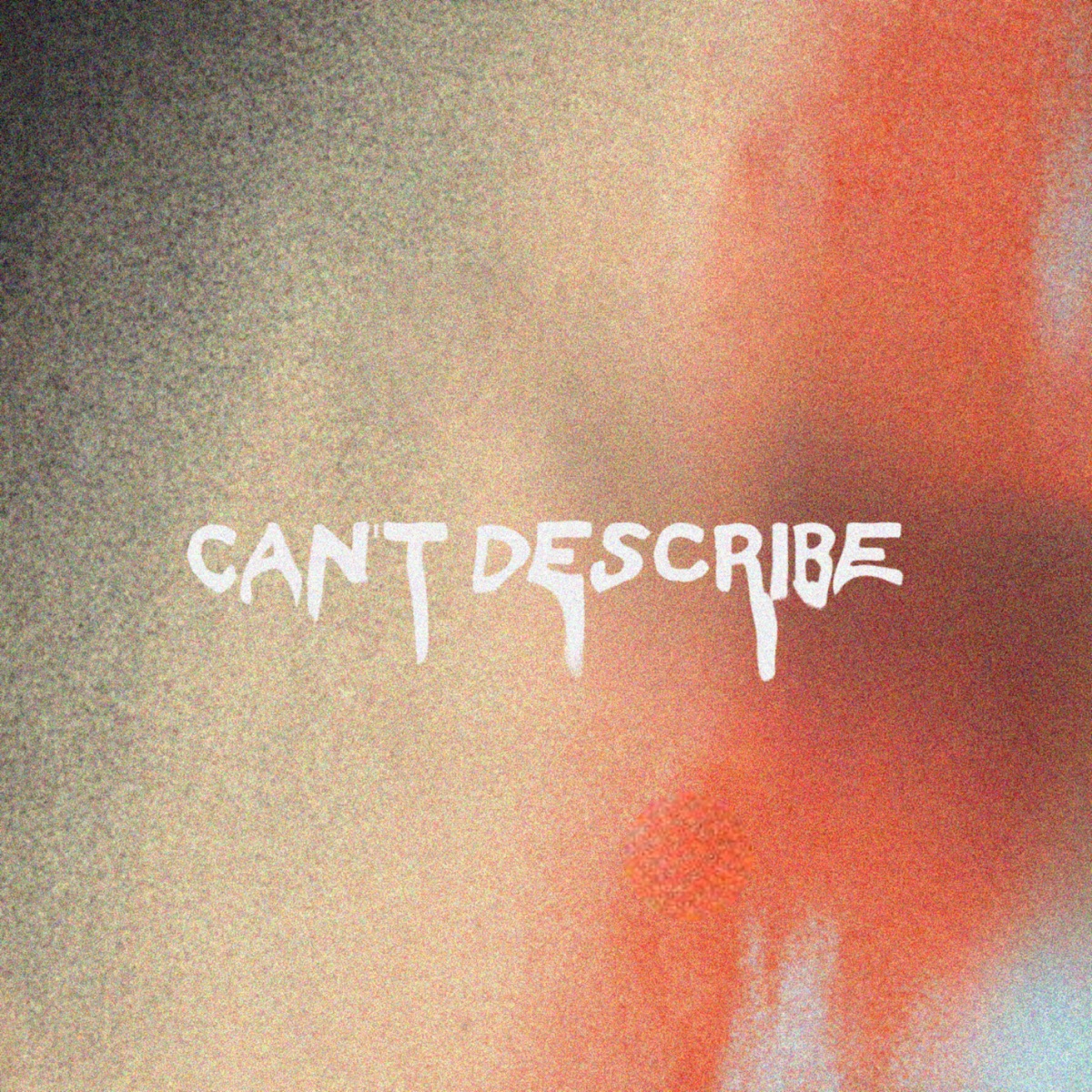 Can't Describe - Single by Kidree album cover