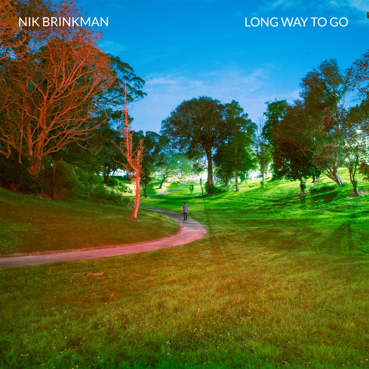 Long Way to Go - Single by Nik Brinkman album cover