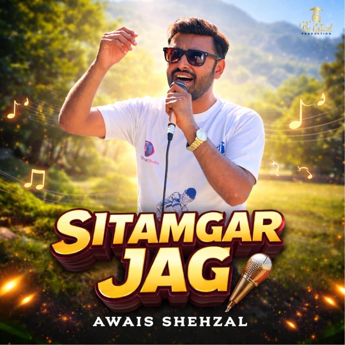 Sitamgar Jag (Shina Song) (feat. Sajjad Bagoro) - Single by Awais Shehzal album cover