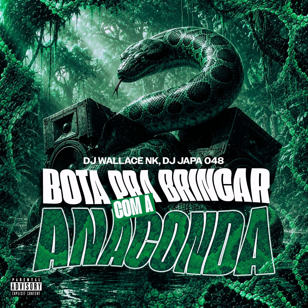 BOTA PRA BRINCAR COM A ANACONDA - Single by DJ Wallace NK, Dj Japa 048 & SoundMusic Original album cover