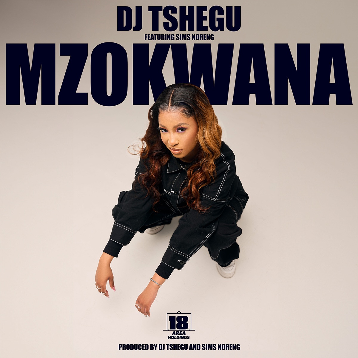 Mzokwana (feat. Sims Noreng) - Single by DJ Tshegu album cover