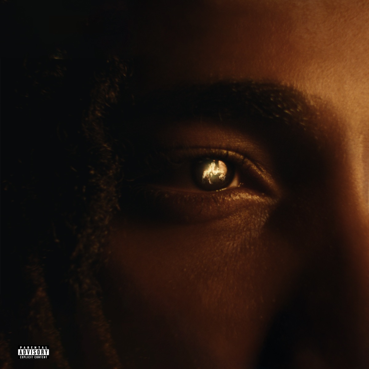 THE IMPACT by Armanii album cover