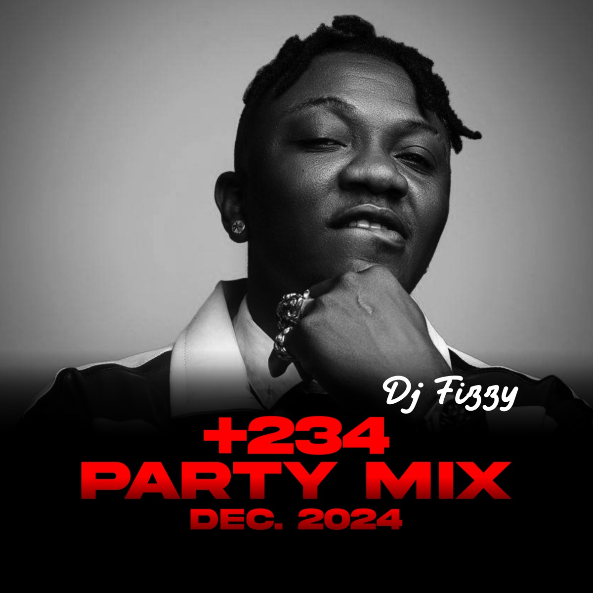 234 Party Mix, Dec 2024 (DJ Mix) by Dj Fizzy album cover