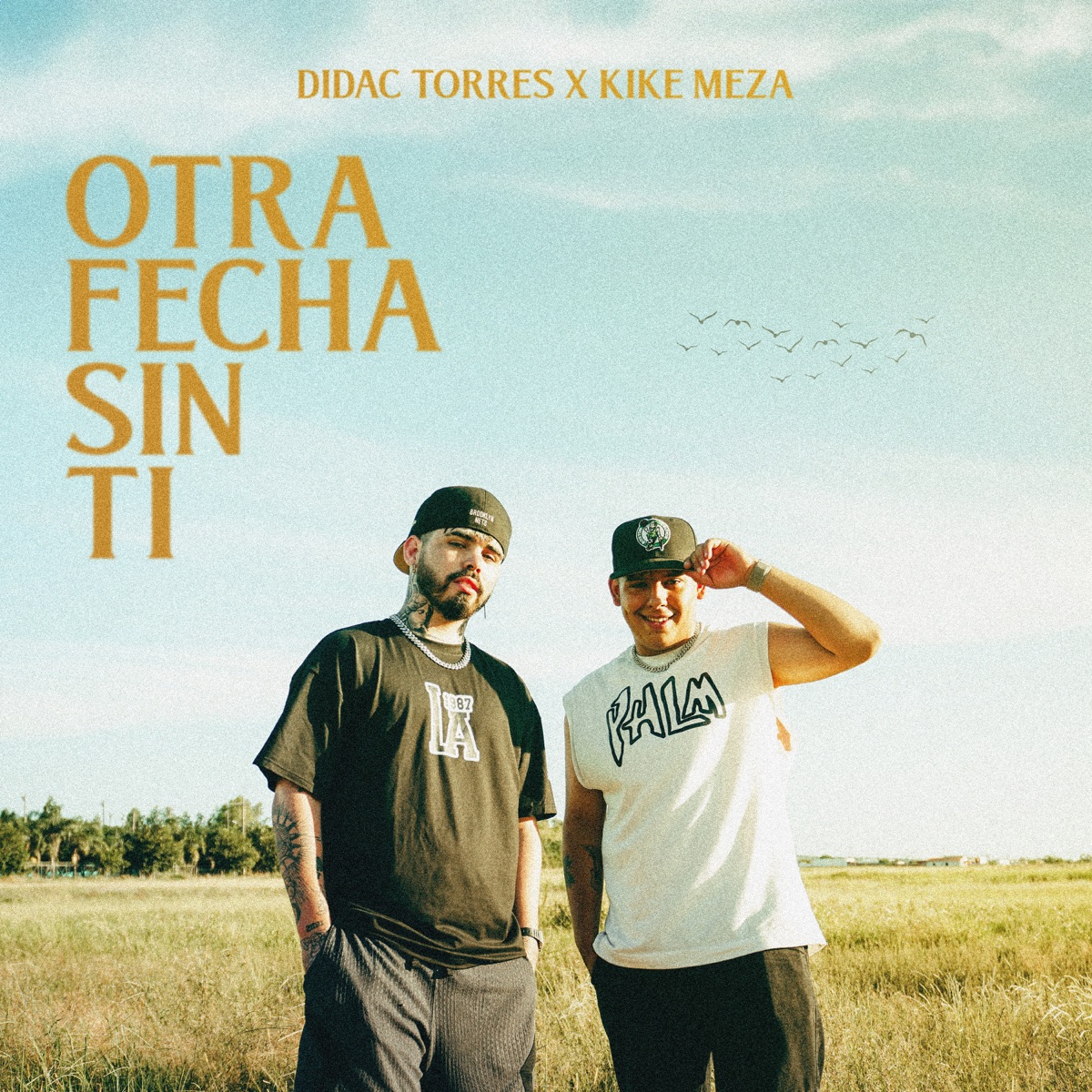 Otra Fecha Sin Ti - Single by Didac Torres & Kike Meza album cover
