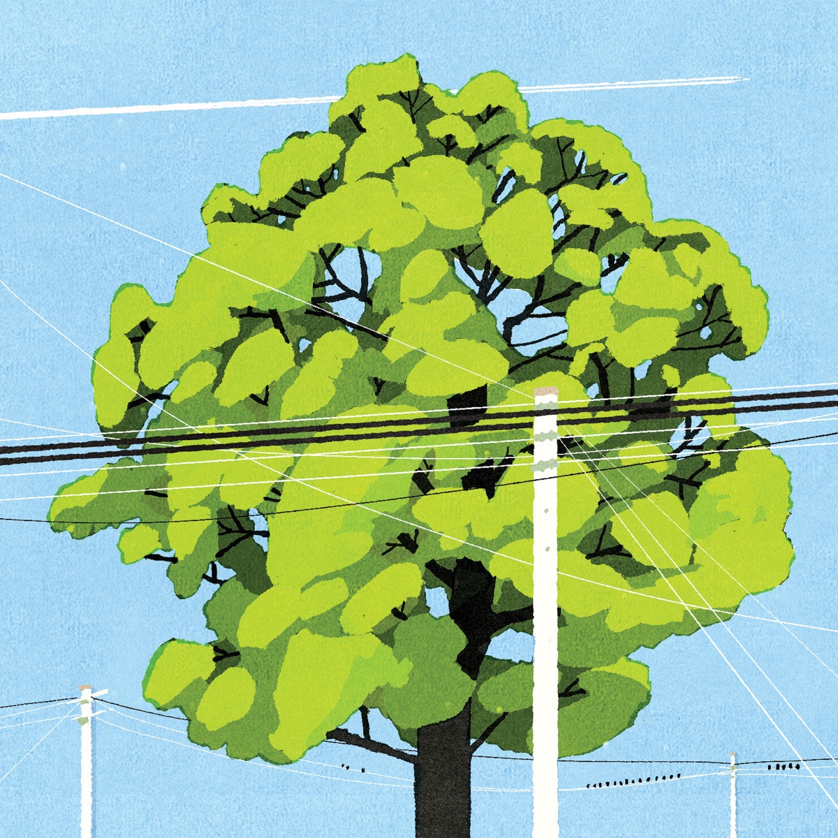 Southwood - Single by Harrison album cover
