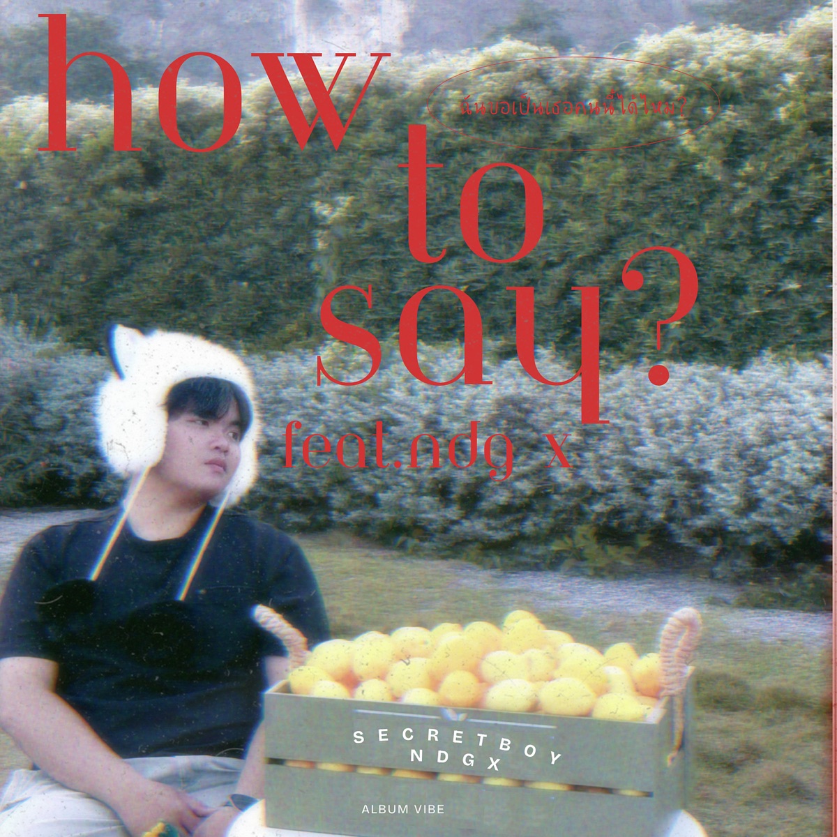 How to Say? (feat. Ndg x) - Single by Secret Boy album cover