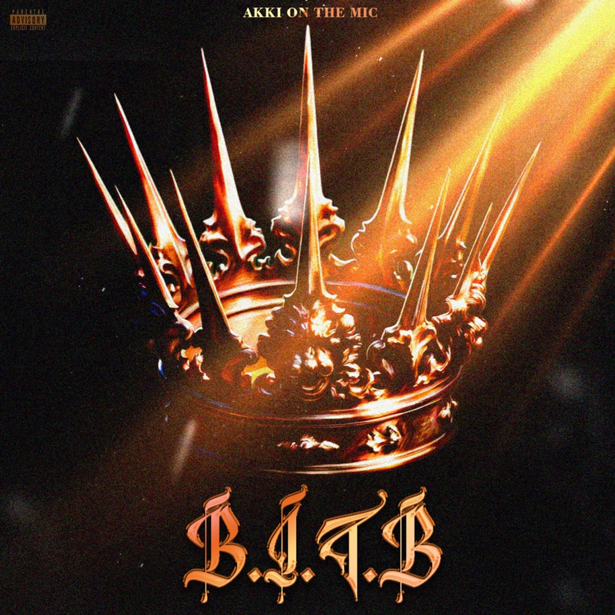 BEST IN THE BIZZ - Single by Akki On The Mic album cover