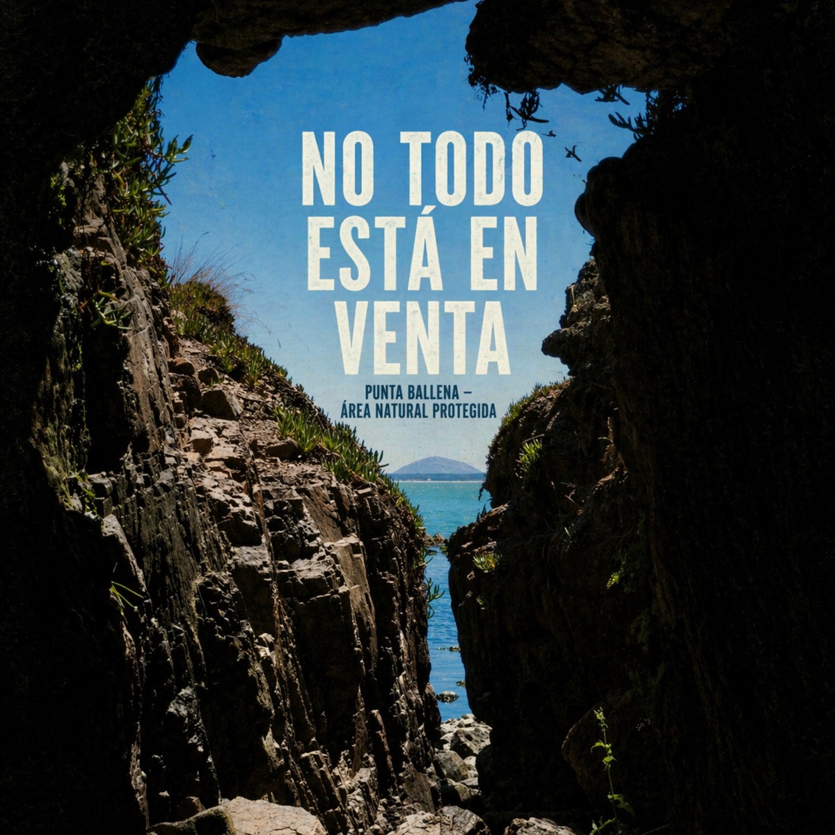 No Todo Está En Venta (Punta Ballena, Área Natural Protegida) - Single by Marasafu, Natura Sabbia, Elniño Quetocafuerte, Bettina Lain, Eia Mar & Matías Barrios album cover