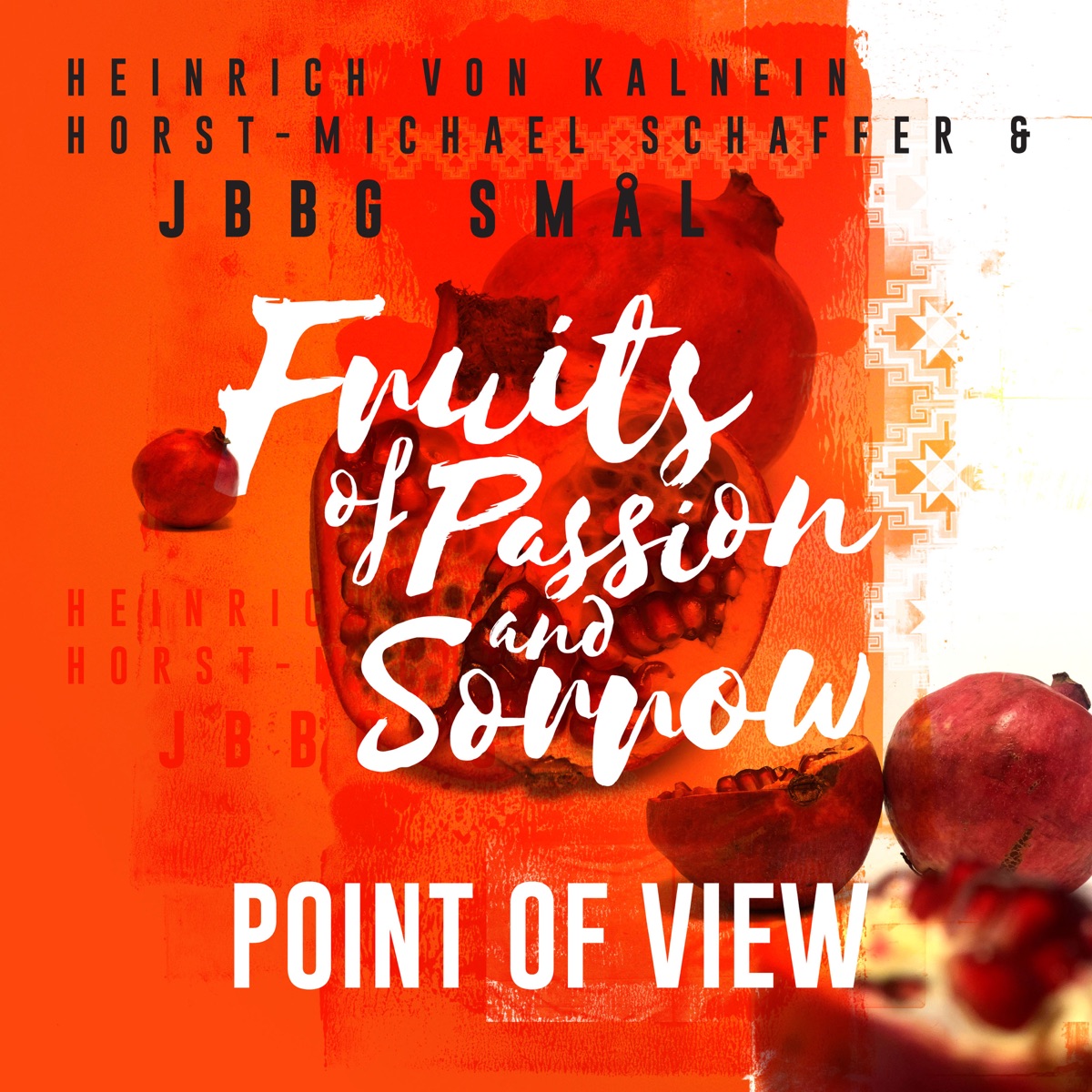 Point of View - Single by Jazz Bigband Graz, Horst-Michael Schaffer & Heinrich von Kalnein album cover