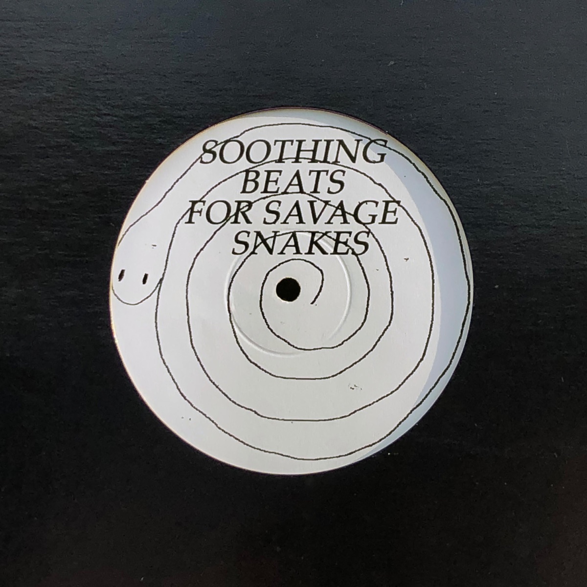 Soothing Beats for Savage Snakes by Beautiful Disco album cover