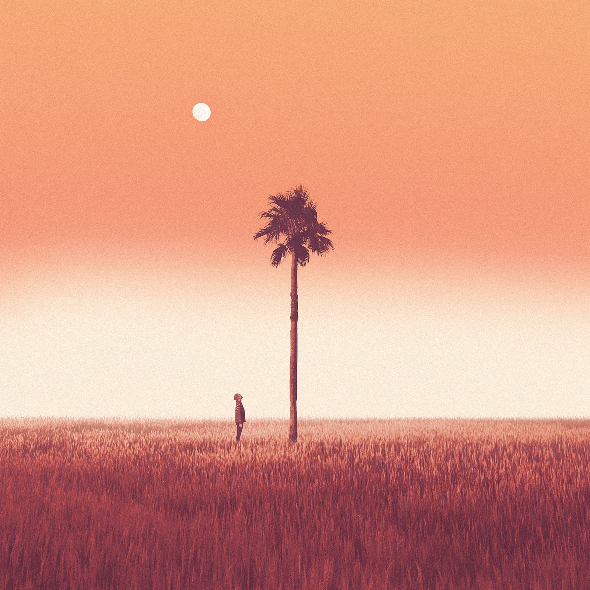 Little Thoughts - Single by Roary & Solar Submarine album cover