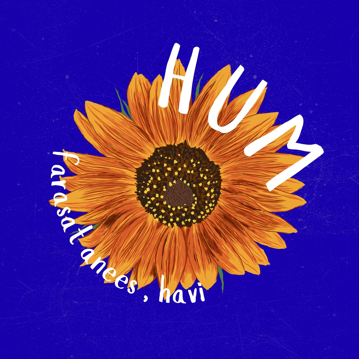 HUM - Single by Farasat Anees & HAVI album cover