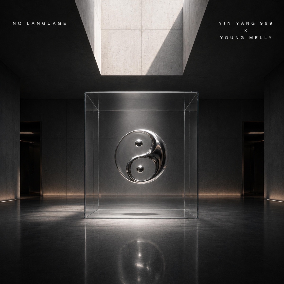 NO LANGUAGE by Yin Yang 999 album cover