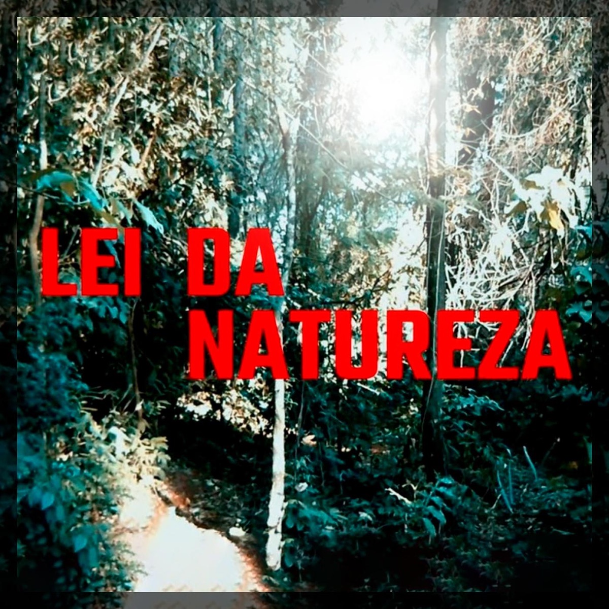 Lei da Natureza - Single by Cirilo g album cover