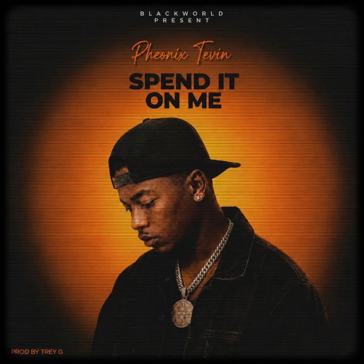 Spend it on me - Single by Pheonix Tevin album cover