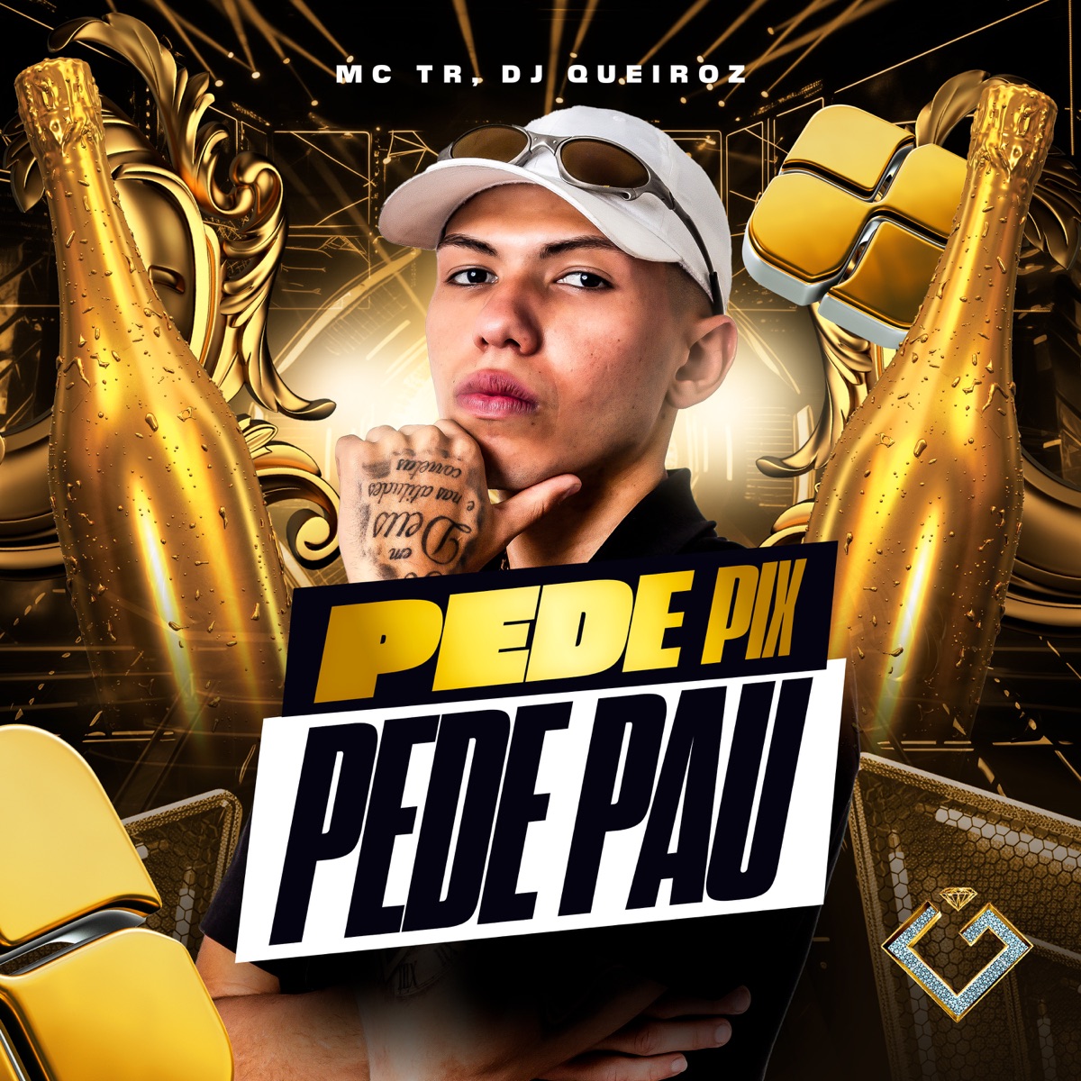 Pede Pix Pede Pau - Single by Mc TR & Dj Queiroz album cover
