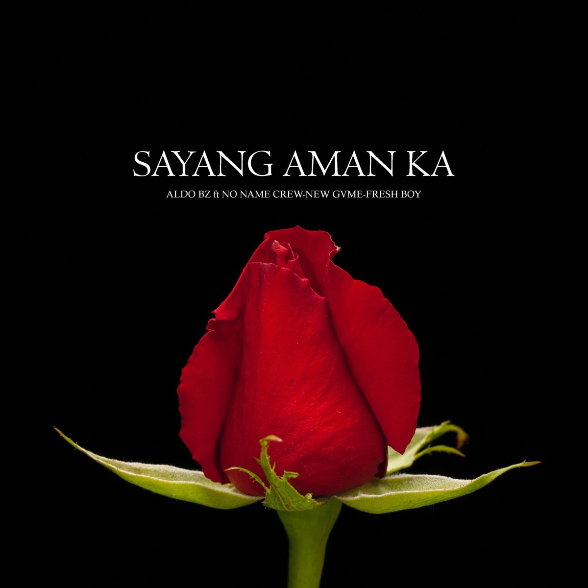 Sayang Aman Ka (feat. No Name Crew, NEW Gvme & Fresh Boy) - Single by Aldo Bz album cover