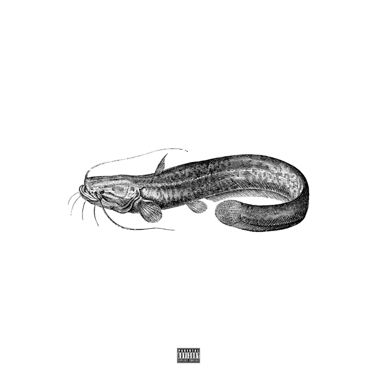 Der totgeglaubte Wels - Single by Helmuth & *maliiik album cover