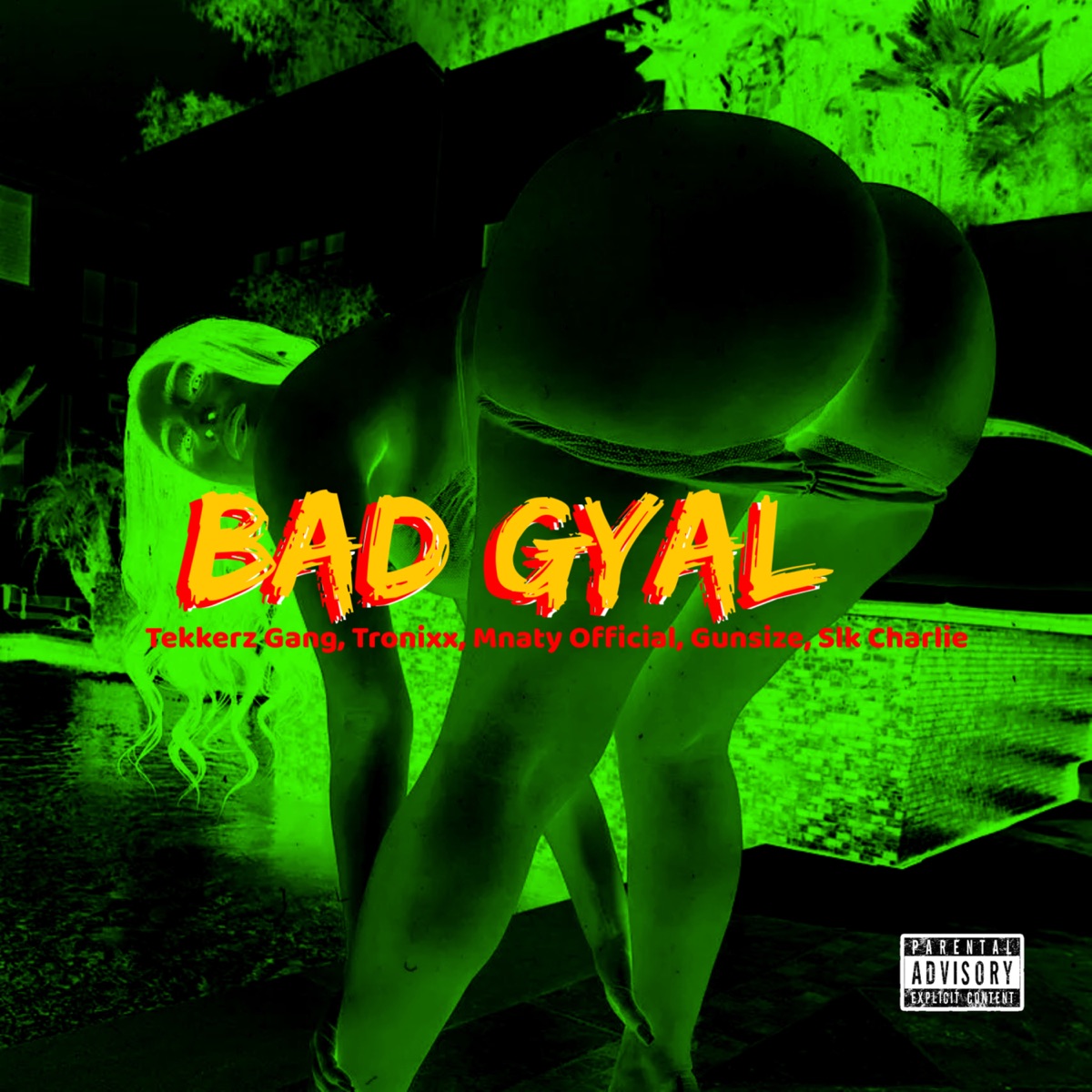 Bad Gyal (feat. Slk Charlie & Gunsize) - Single by Tekkerz Gang, Tronixx & Mnaty Official album cover