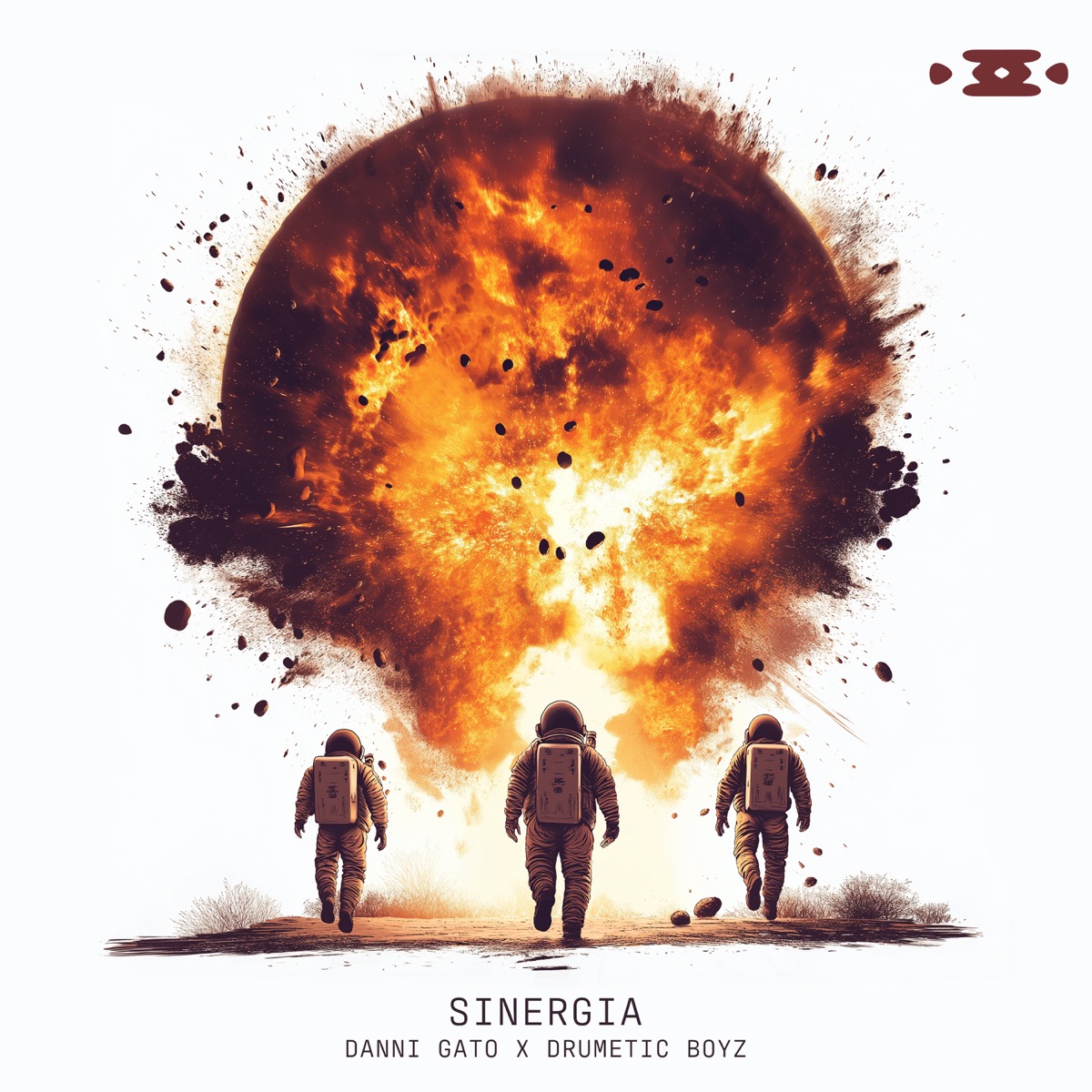 Sinergia - Single by Danni Gato & Drumetic Boyz album cover