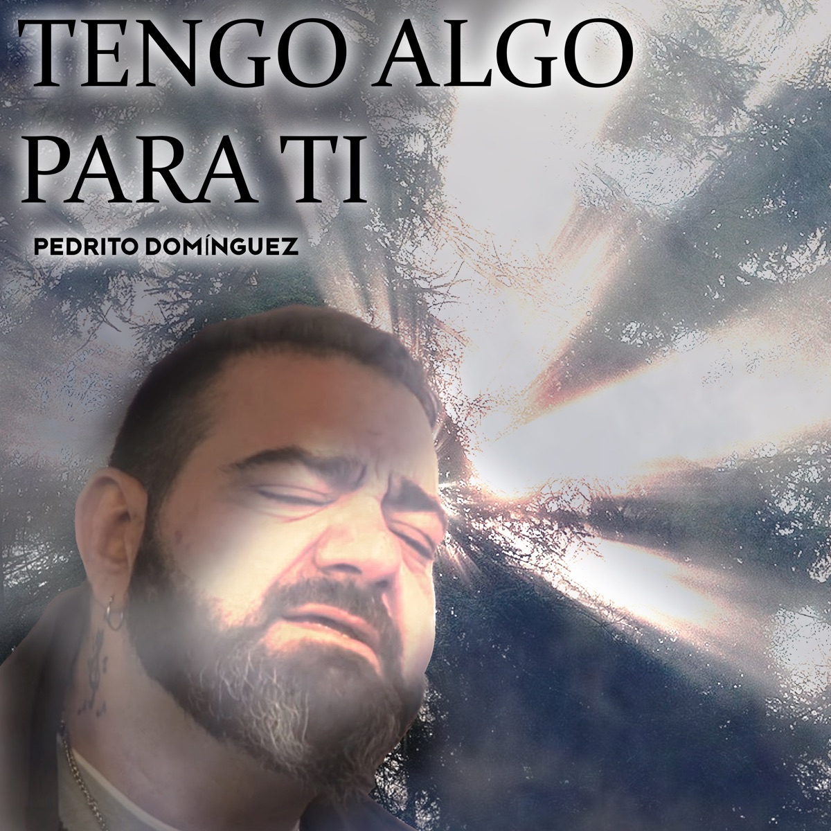 Tengo Algo para Ti - Single by Pedrito Domínguez & eec Records album cover