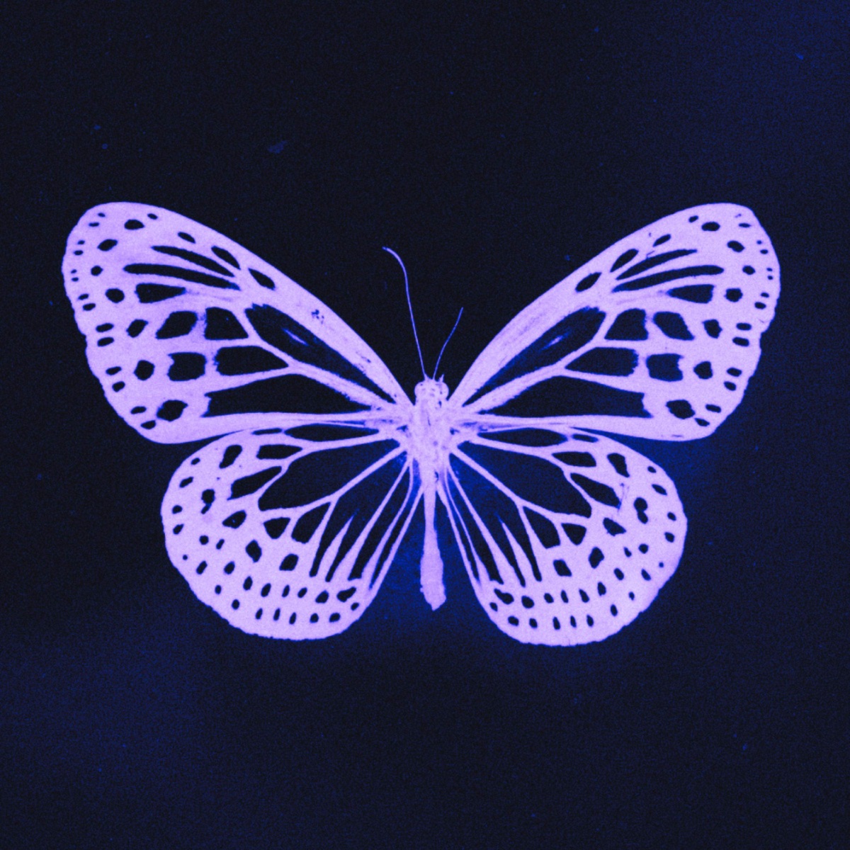 Should've Been Us - Single by Cheyanne album cover