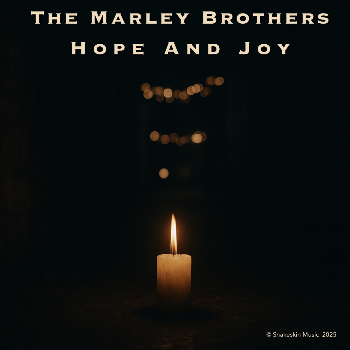 Hope and Joy - Single by The Marley Brothers album cover